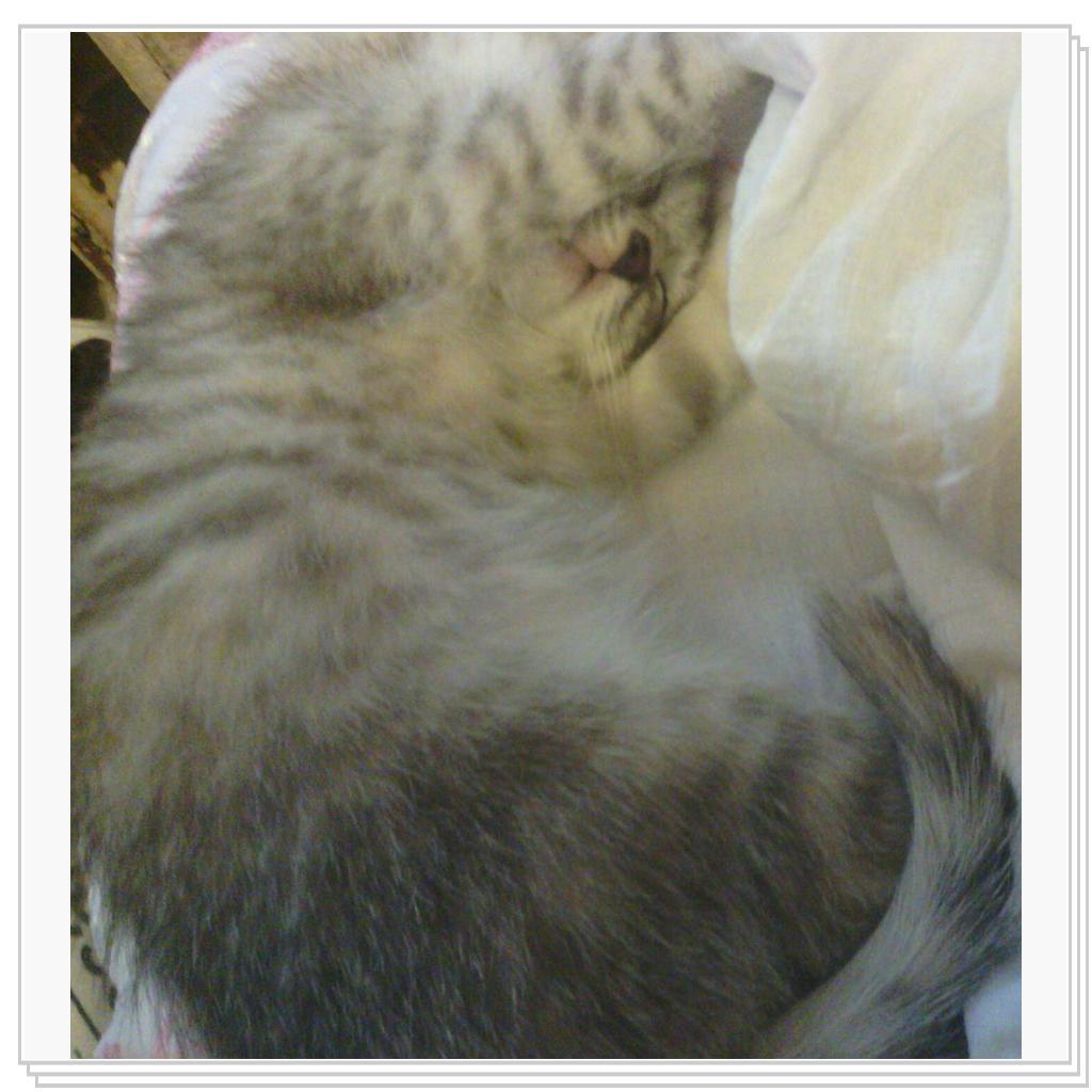 Снежана-малышка спит