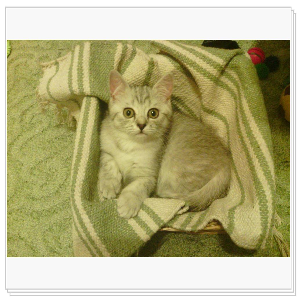 Снежана-малышка