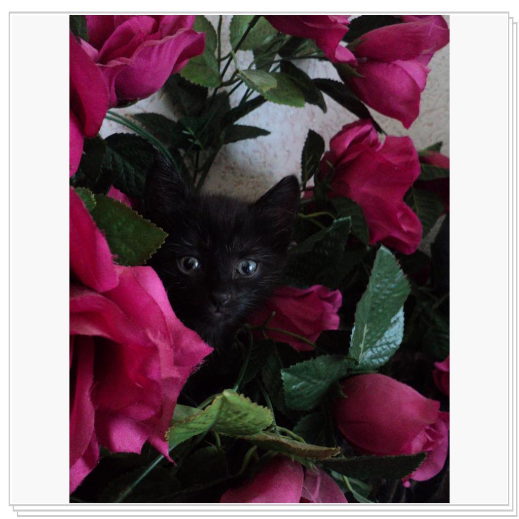 Играем в прятки