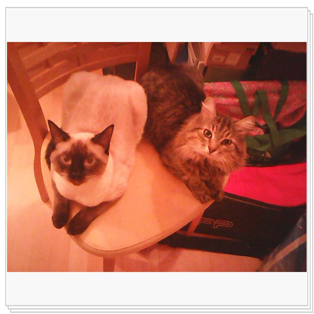 Кузьма и Марс