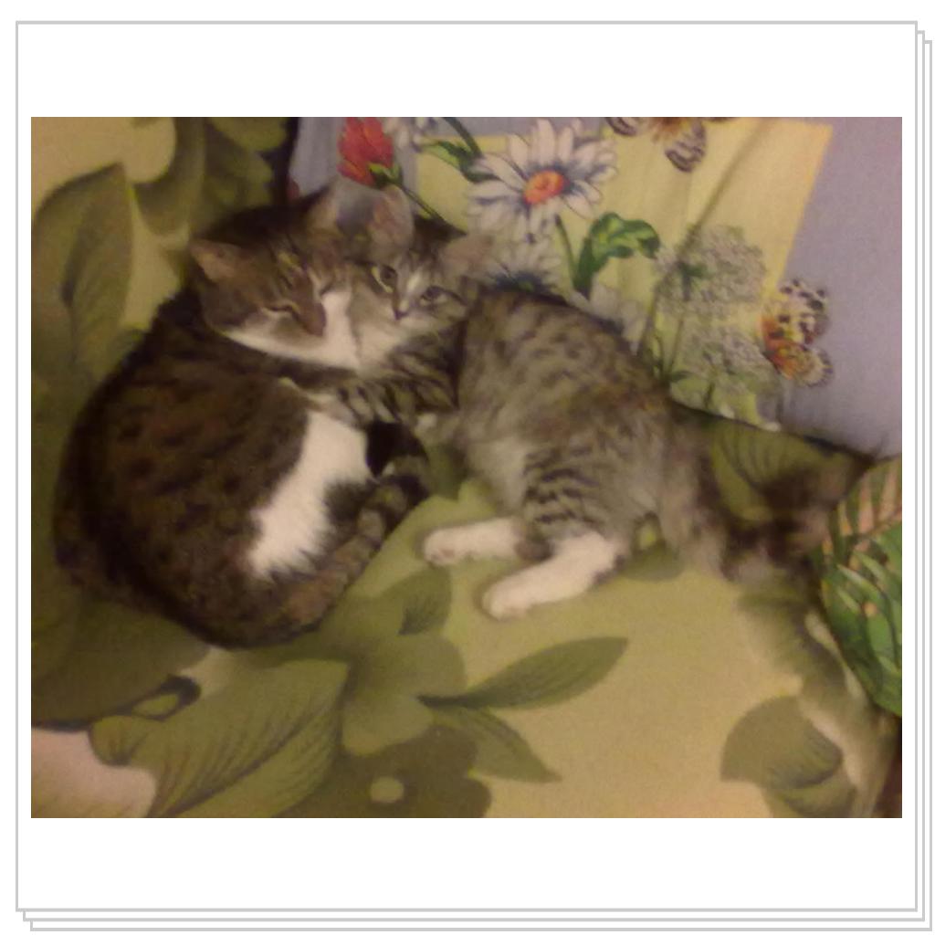 Снова Тихон