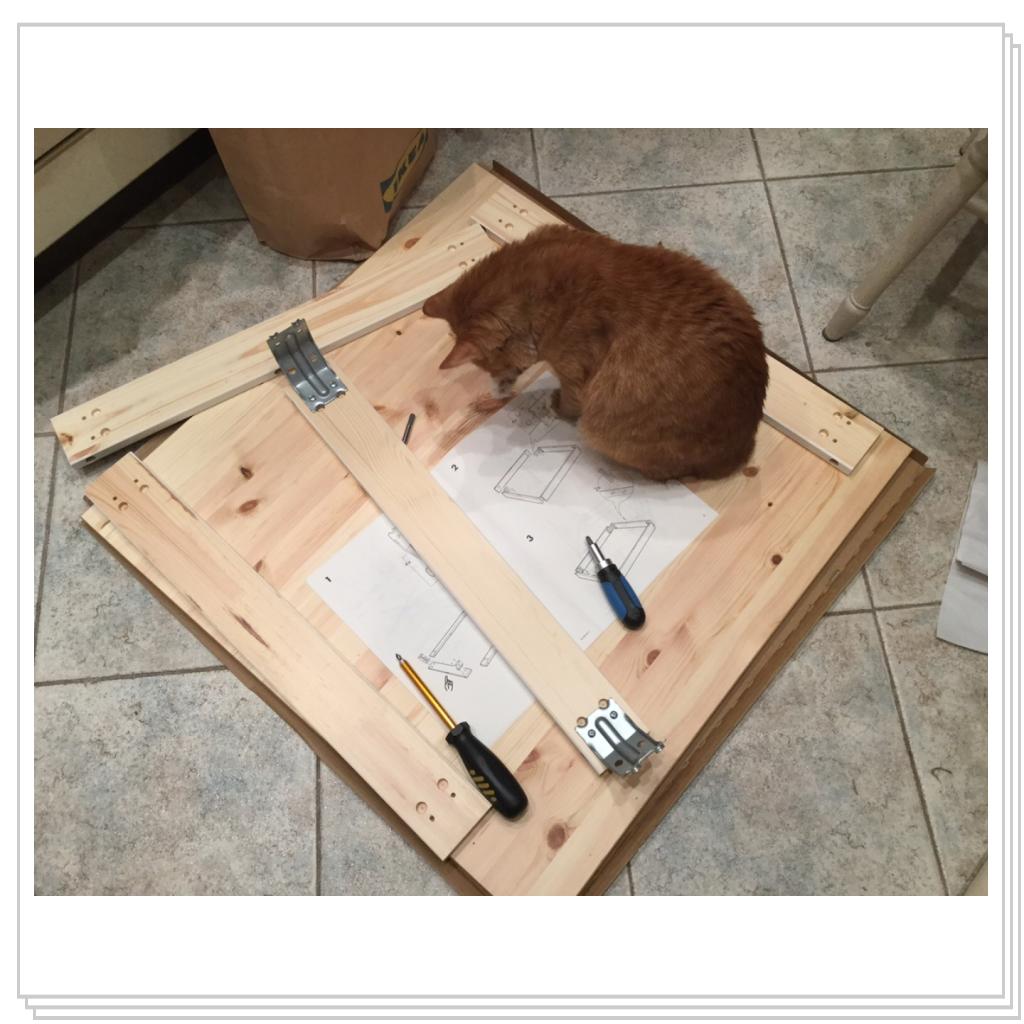 ничего эти хозяева в сборке не смыслят...