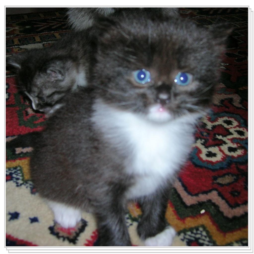 Русланчику чуть меньше  месяца