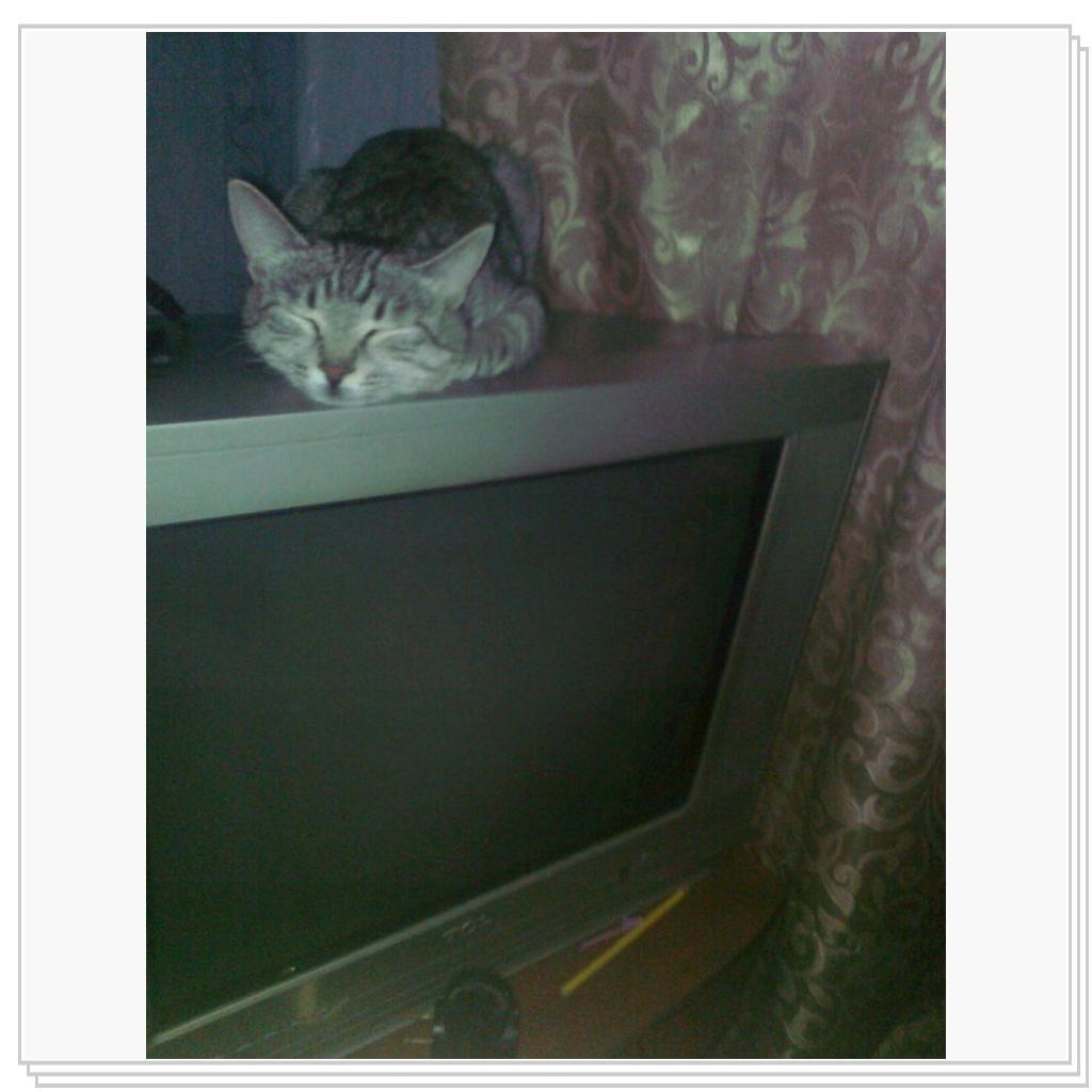 моя Соничка