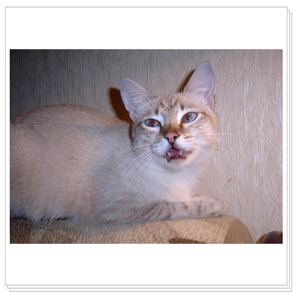 Мамуль, ты чего-то хотела, да?