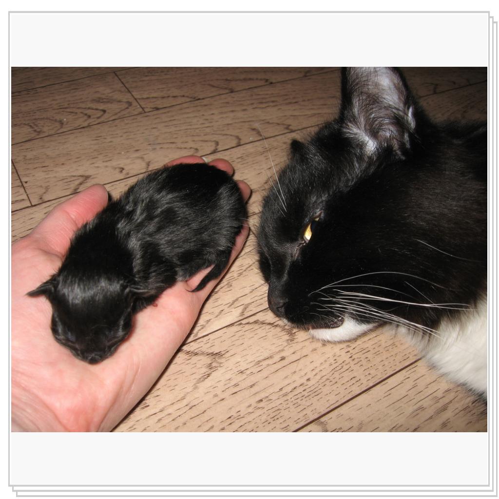 Папа и доча, только-только родилась...