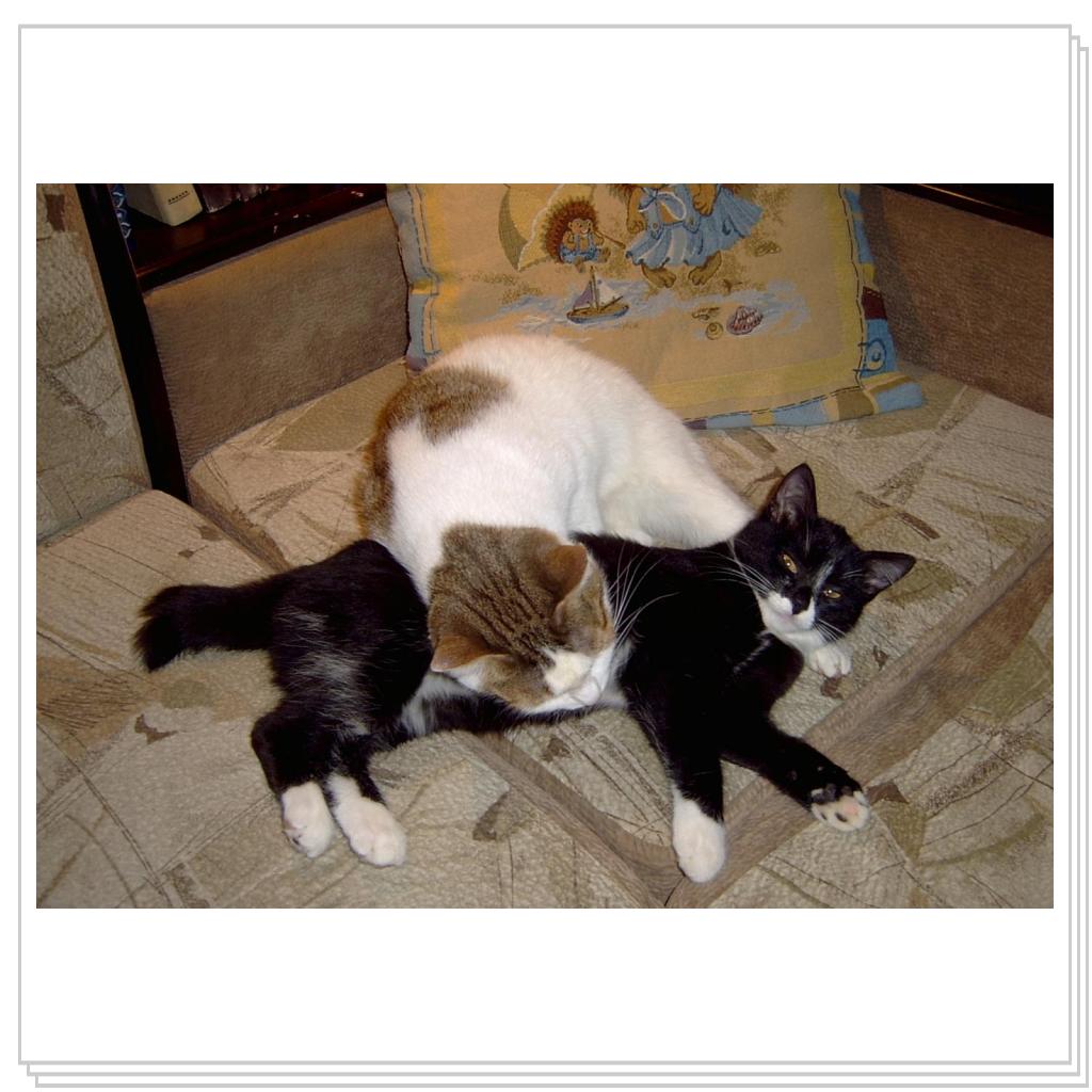 Дася и Джима. Мягонько так)))