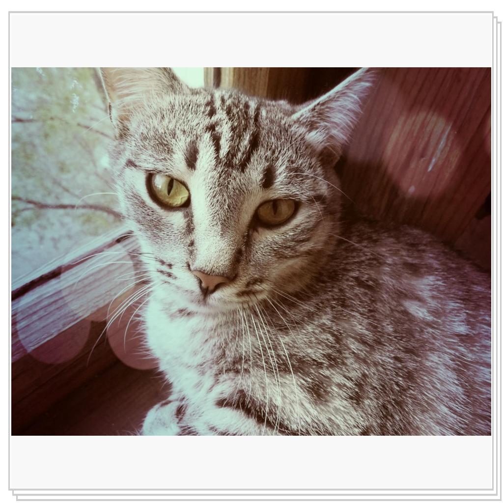 моя Соничка