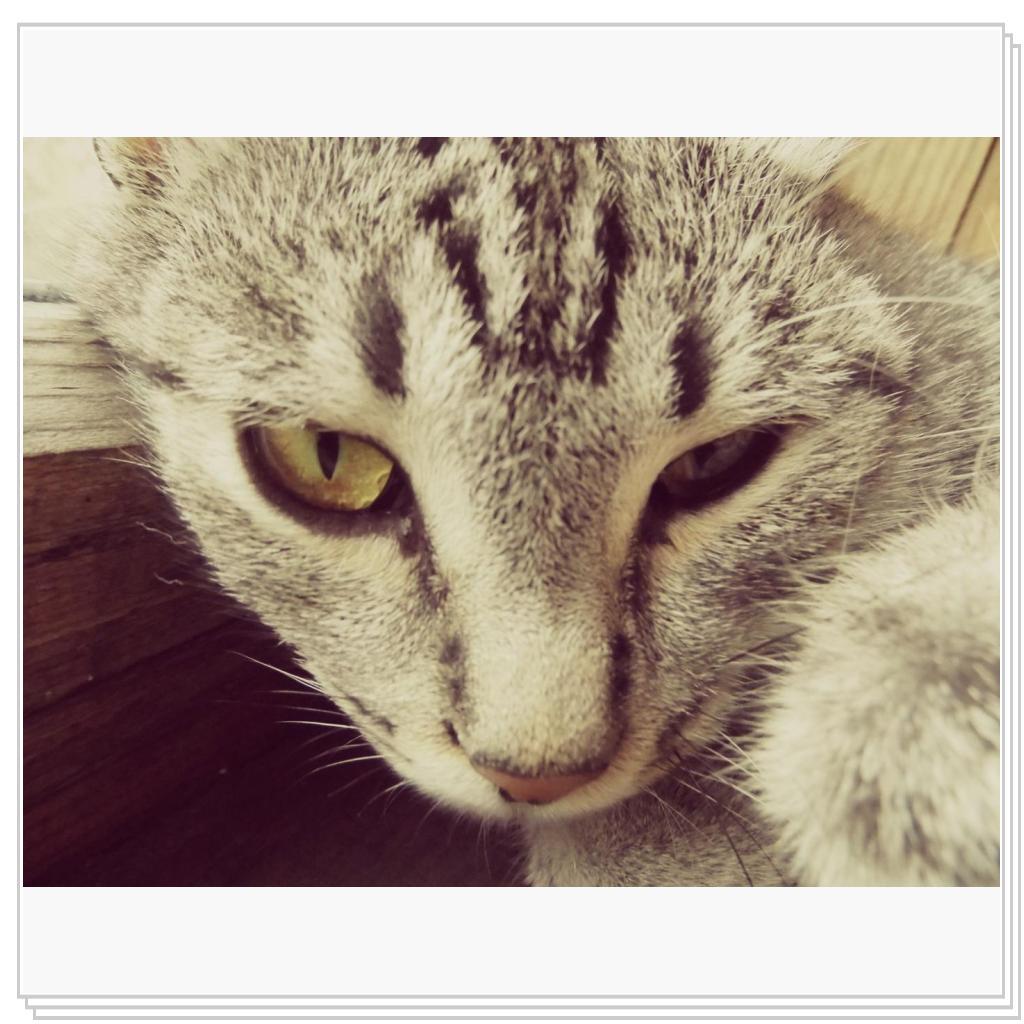 моя Соничка