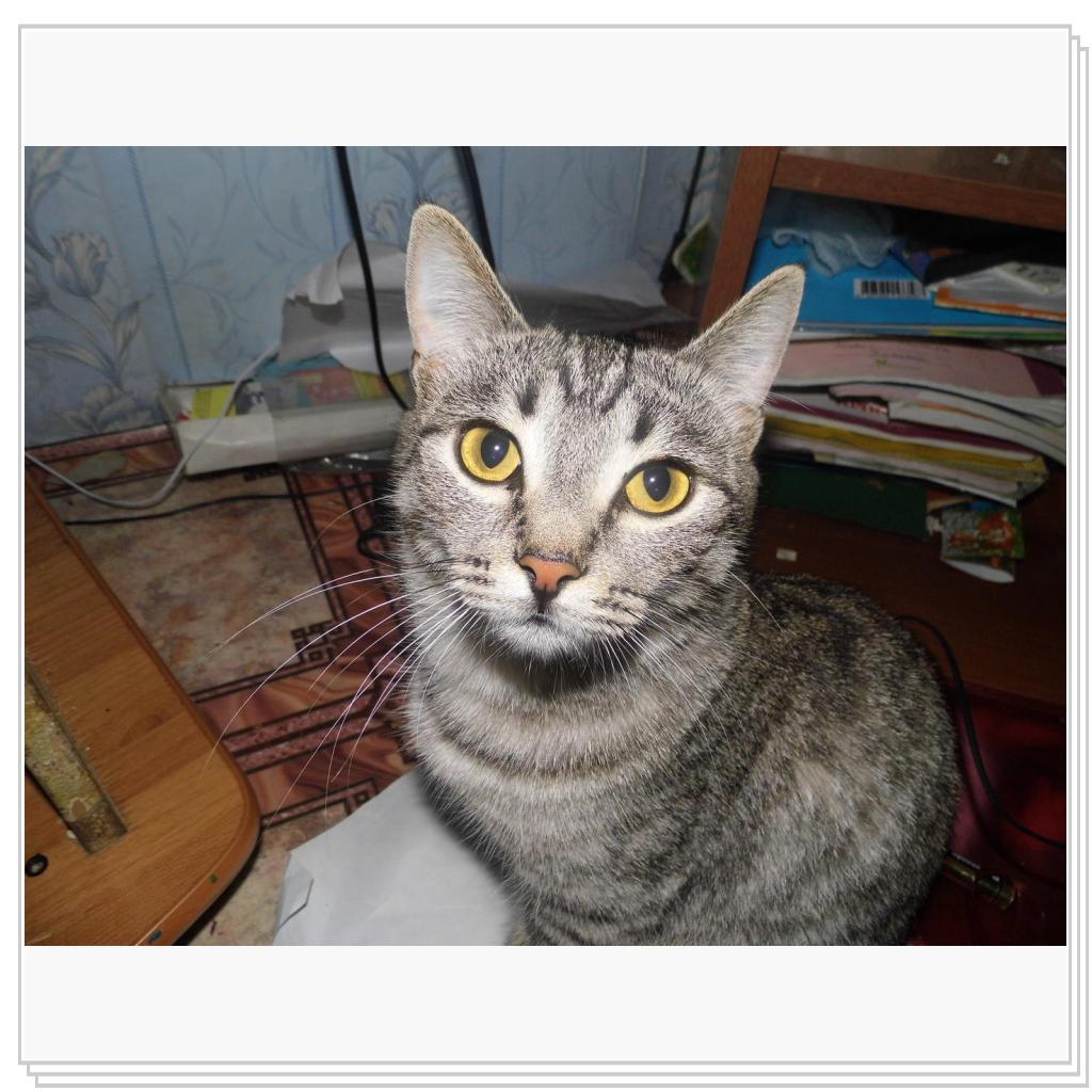 моя Соничка