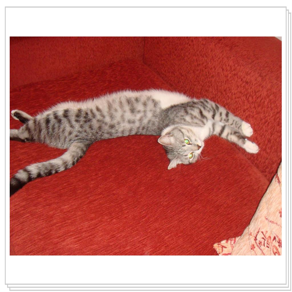 Фотографируйте, фотографируйте)))