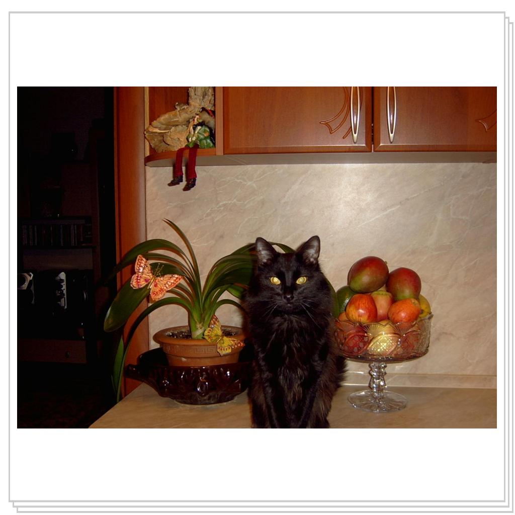 А кормить сегодня будут???