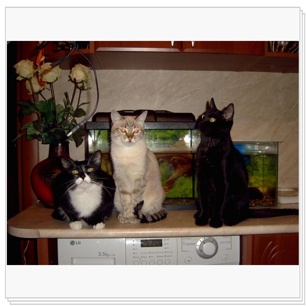 Джима (слева) Дынча и Сева