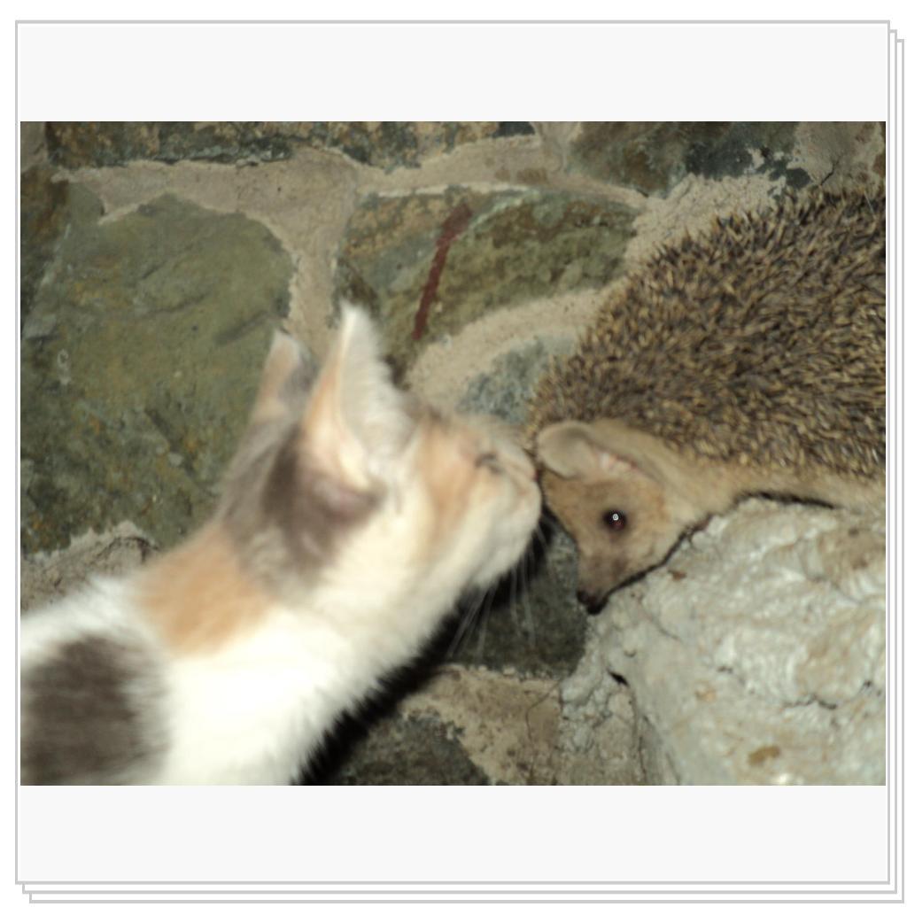 Знакомство