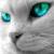 Profile picture for user 291139