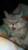 Profile picture for user АБО